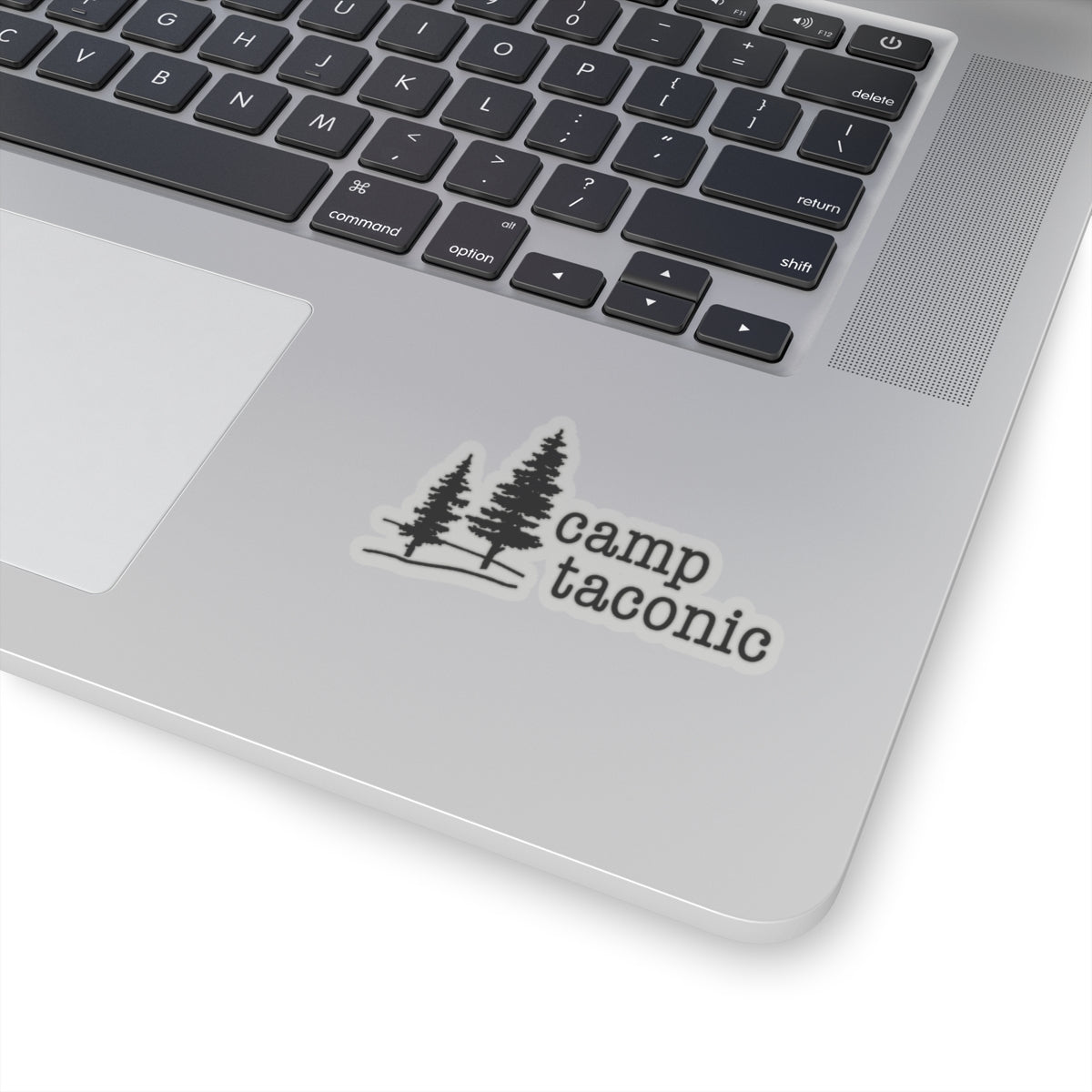 Camp Taconic Retro Logo Sticker