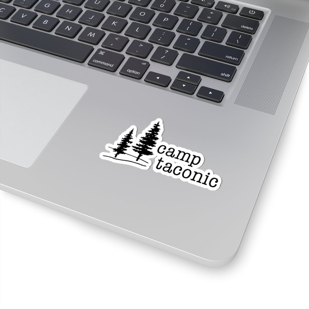 Camp Taconic Retro Logo Sticker